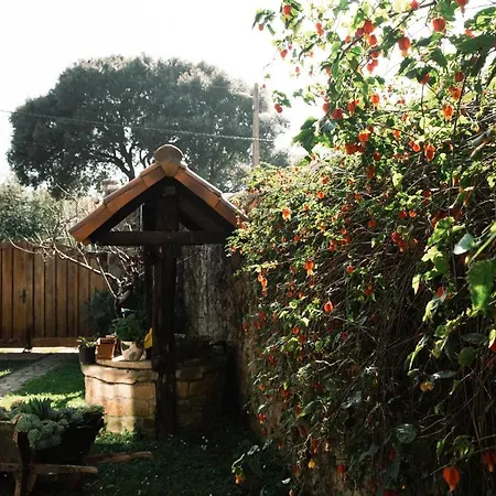 Y El Cafetal 别墅 Polanco